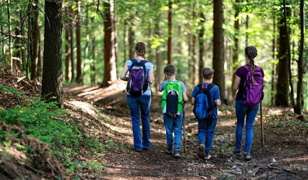 Hiking Charles Lindbergh State Park - Visit Little Falls