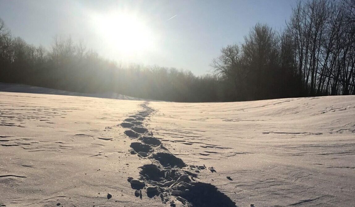 Footprints in Snow